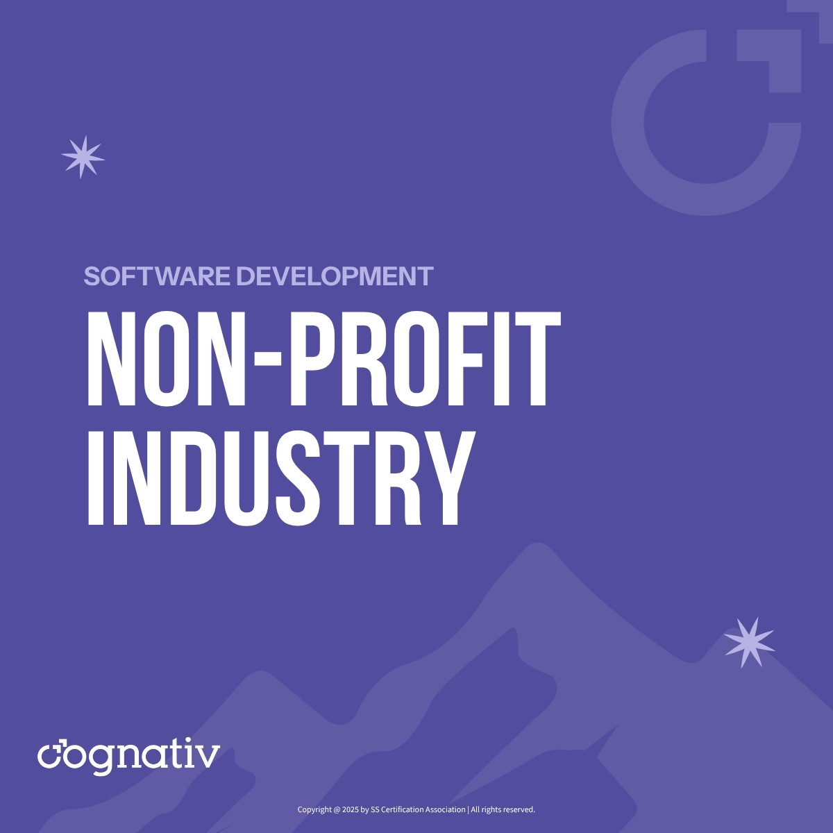 Nonprofit technology and mission-driven digital systems