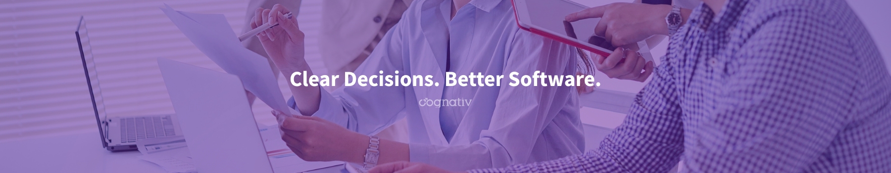 Clear Decisions. Better Software.